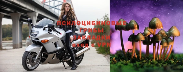 a pvp Алексеевка