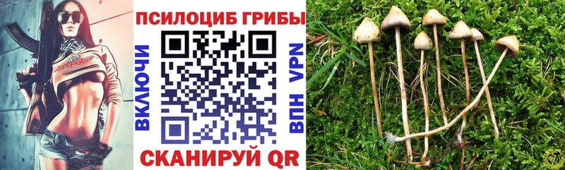 Псилоцибиновые грибы Psilocybine cubensis  наркота  Калининск 